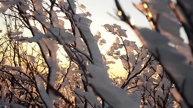 Sunrise the sun the snow