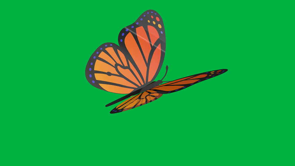 Butterfly wing clap