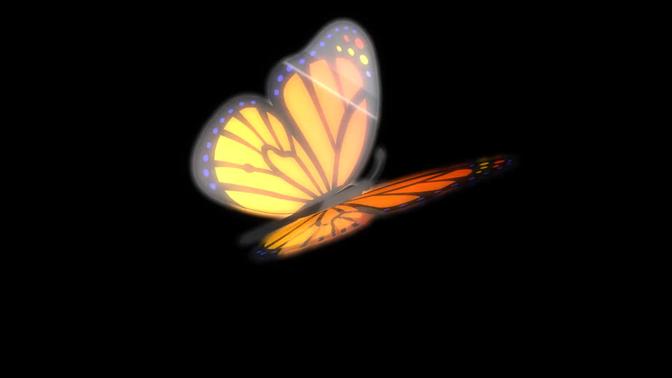 Butterfly wing clap