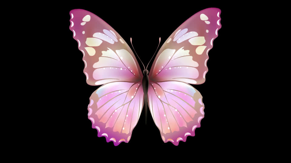 Butterfly flapping wings moving