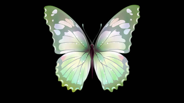 Butterfly flapping wings moving