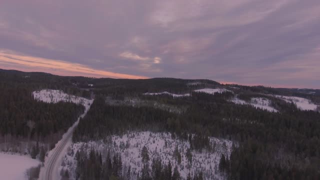Forest landscape winter