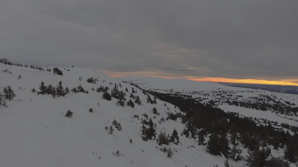 Winter landscape snowy