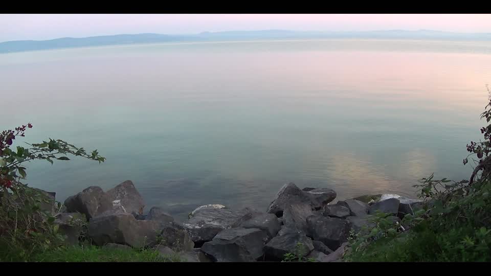 Nature lakeside dawn