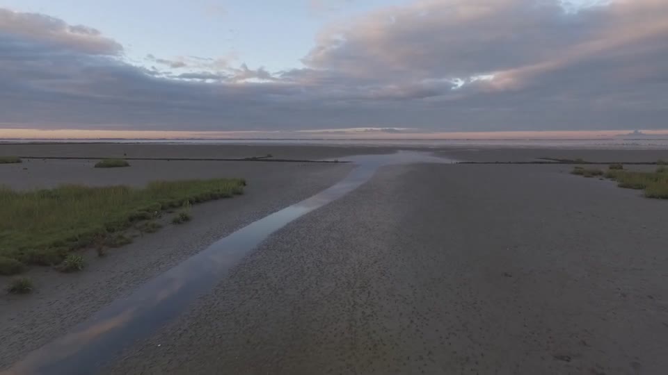 Beach coastline shore