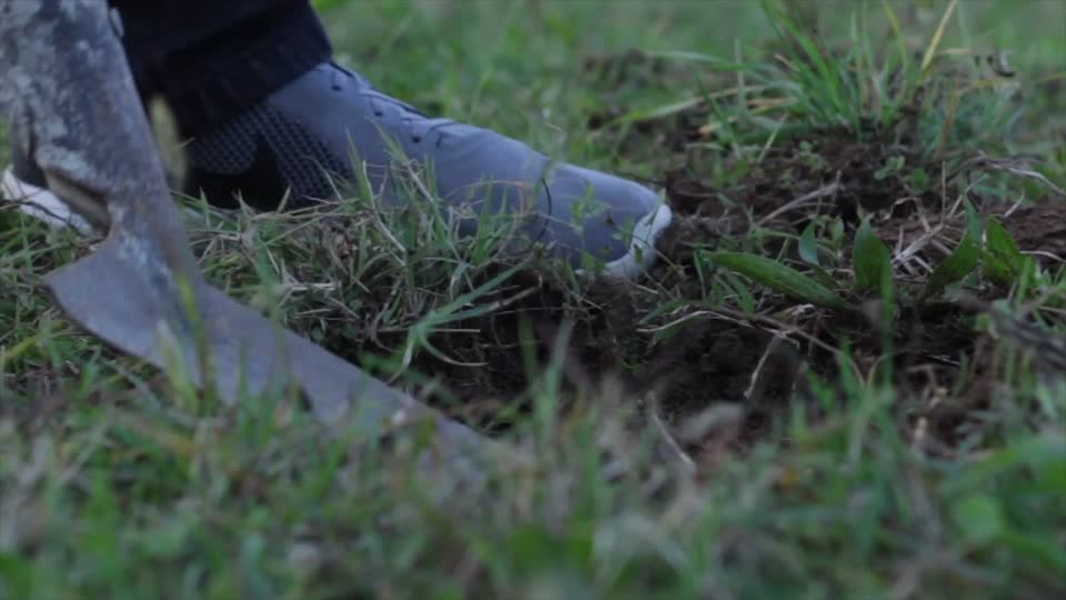 Spade excavation grass