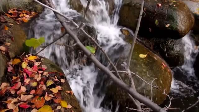 Waterfall autumn nature