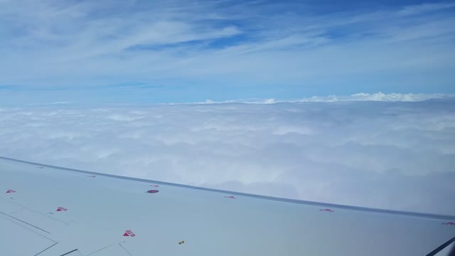 Airplane wing airline