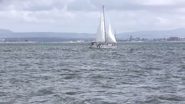 Sailing boat sailing ocean