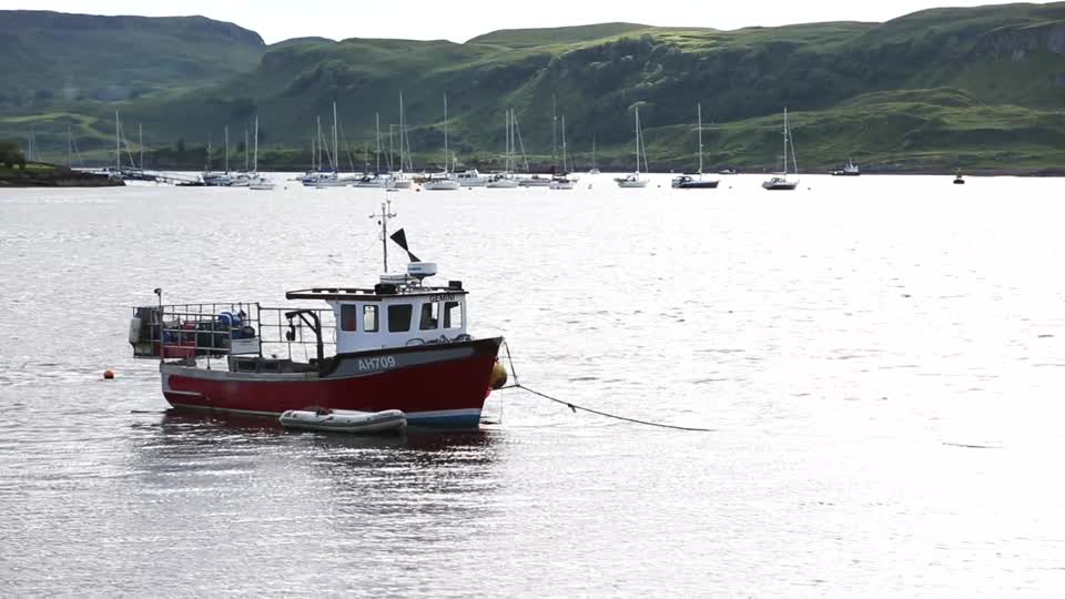 Fishing boat harbor port