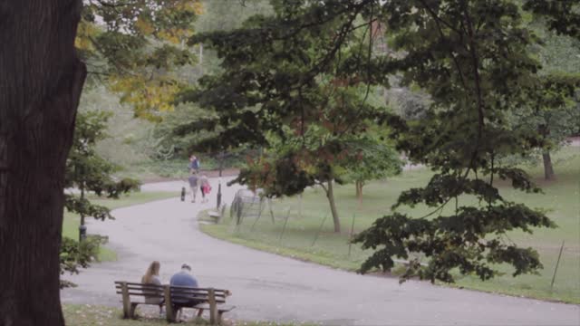 Park bench people