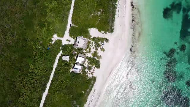 Sea beach ocean