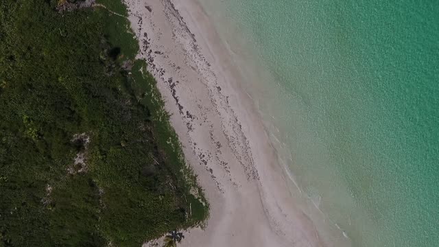 Sea beach ocean