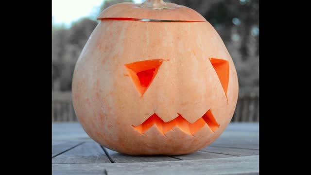 Pumpkin squash halloween