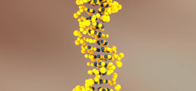 Dna genetics molecular biology