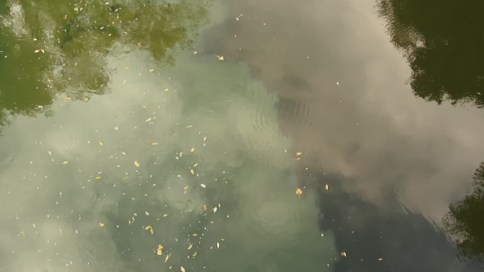 Water clouds river
