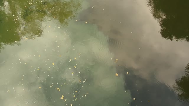 Water clouds river