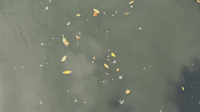 Water leaves current