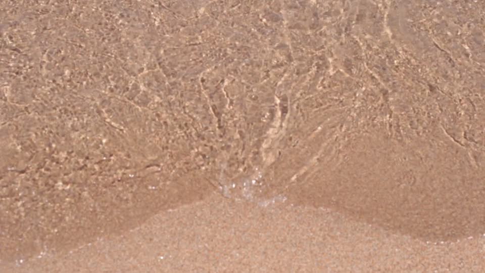 Sea swimming woman