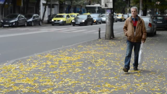 Autumn person women
