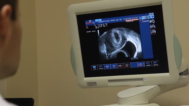 Artificial insemination human anatomy bench
