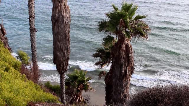 Beach coastal sea