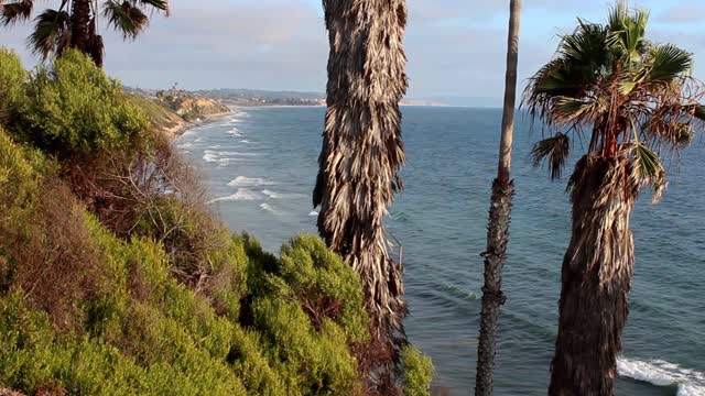 Beach coastal waves