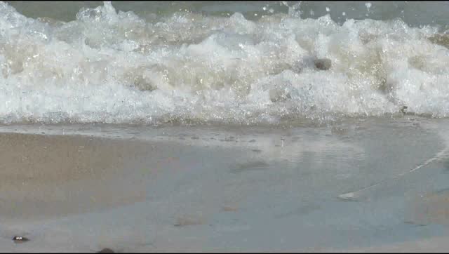 Waves spray summer