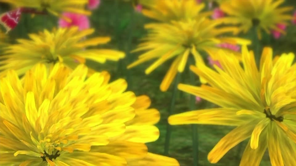 Flowers nature butterfly