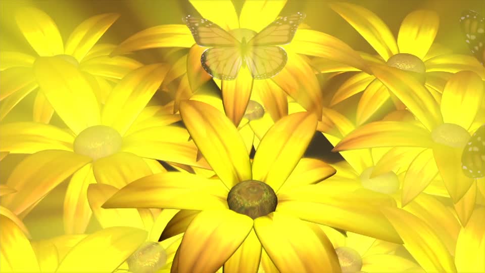 Flowers butterfly nature