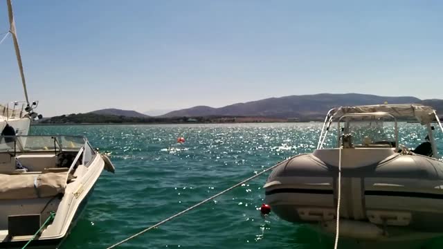 Boats dock harbor