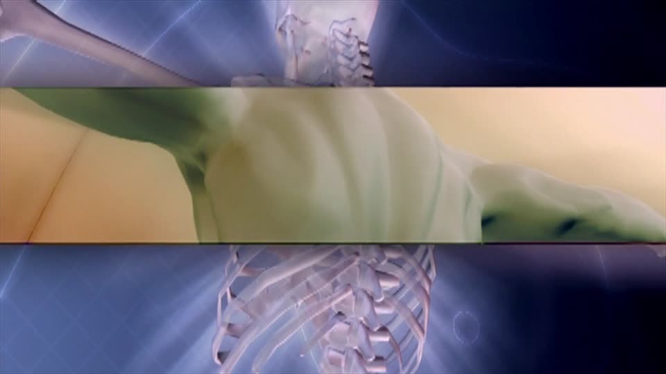 Human anatomy x-rays