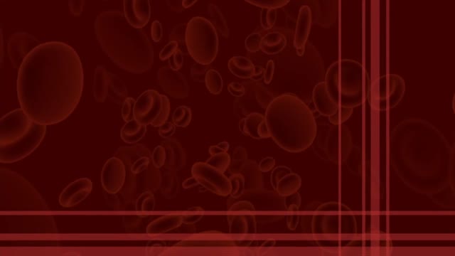 Blood cells medical blood