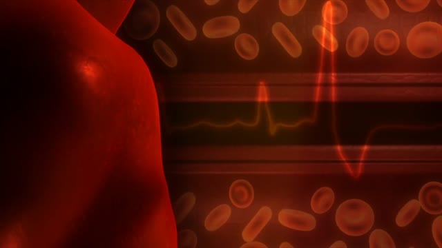 Heart medical cardiology