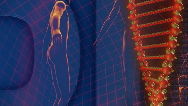 Human dna code