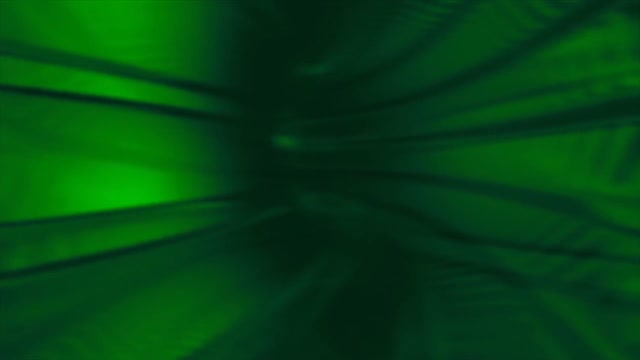 Wormhole tunnel green
