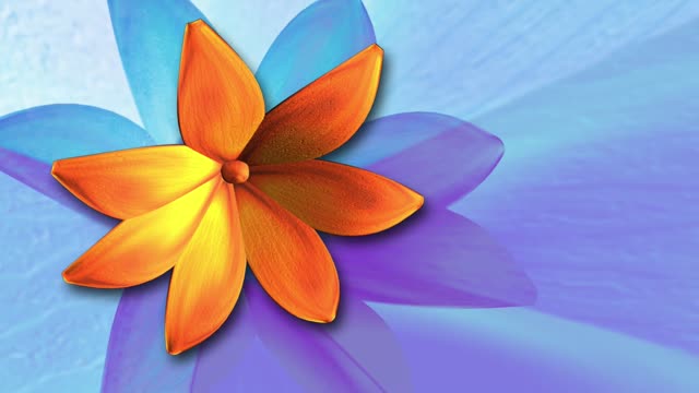 Flower orange rotating