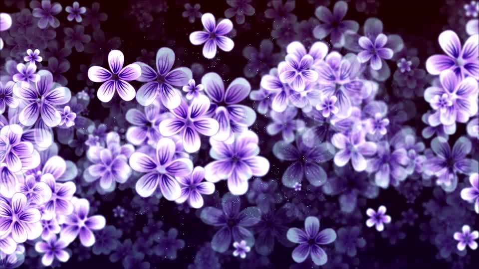 Flowers plant nature