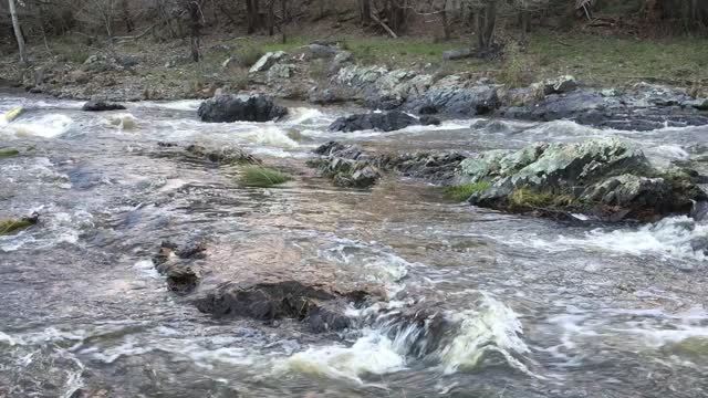 Water river nature