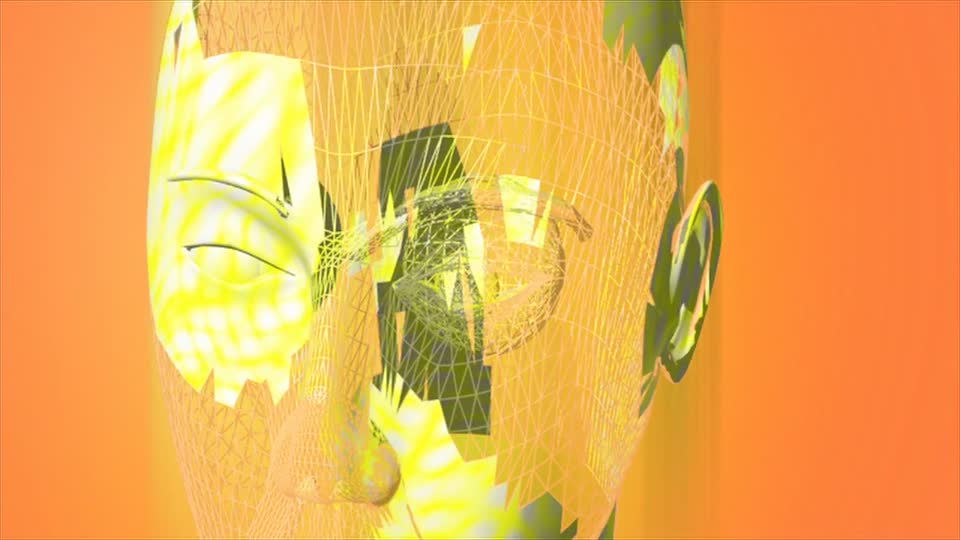 Human head rotation