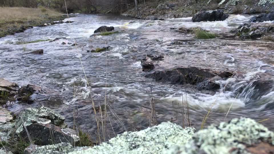 Water running creek river