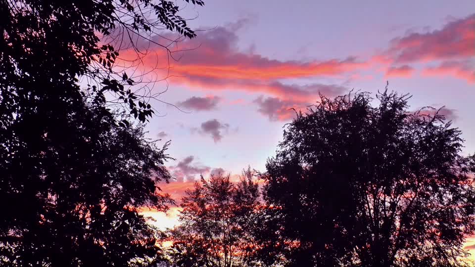 Evening autumn clouds