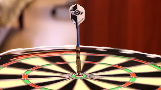 Darts dart target