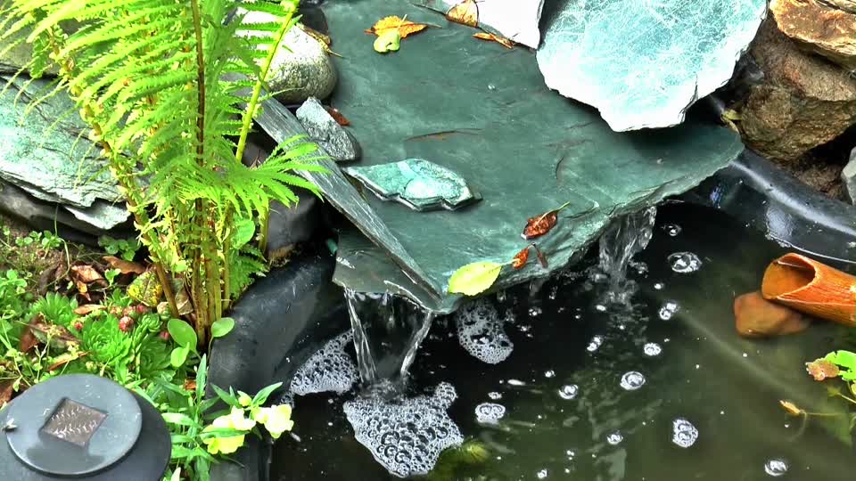 Stream spring summer