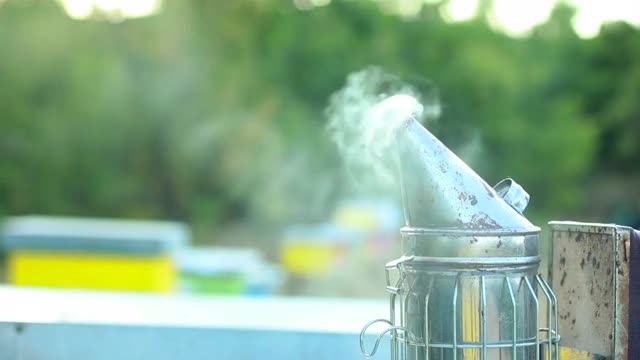 Bee smoker beekeeping