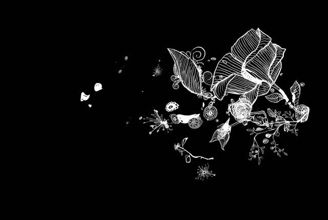 Flower blossom flowering
