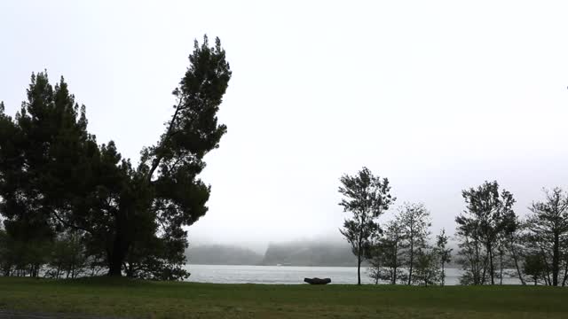 Lake windy autumn
