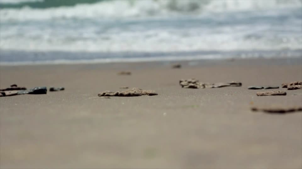 Beach footprints walking