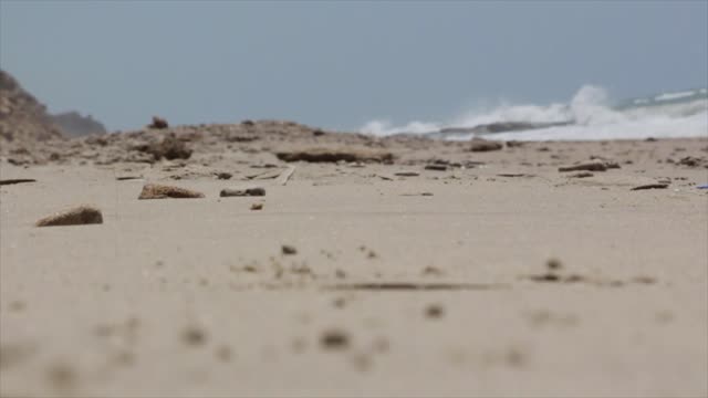 Beach feet sand