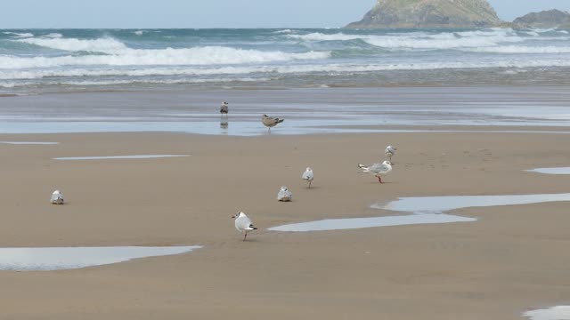 Beach sand sea
